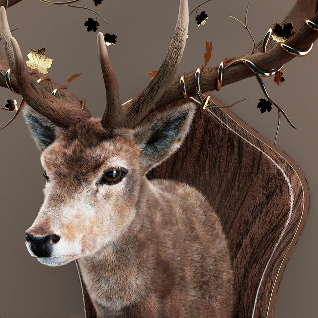 Deer — Descargar