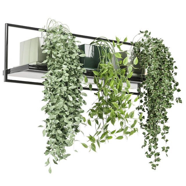 indoor plants in rusty concrete pot on metal shelf - Set 107 — Скачать