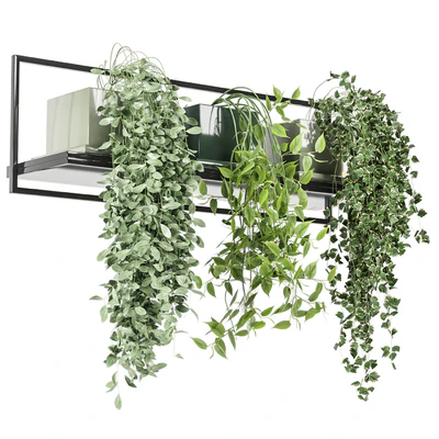 indoor plants in rusty concrete pot on metal shelf - Set 107 — Вид 2