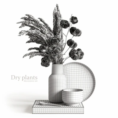 Decorative set with dry plants 5 — Вид 2