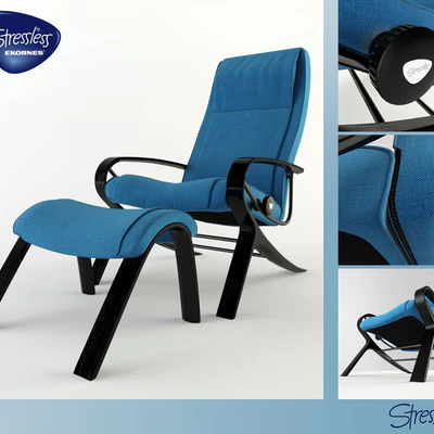 Stressless YOU James Holz — Вид 1
