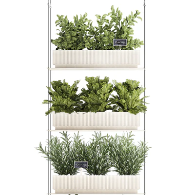 Plant collection 1411 — View 4