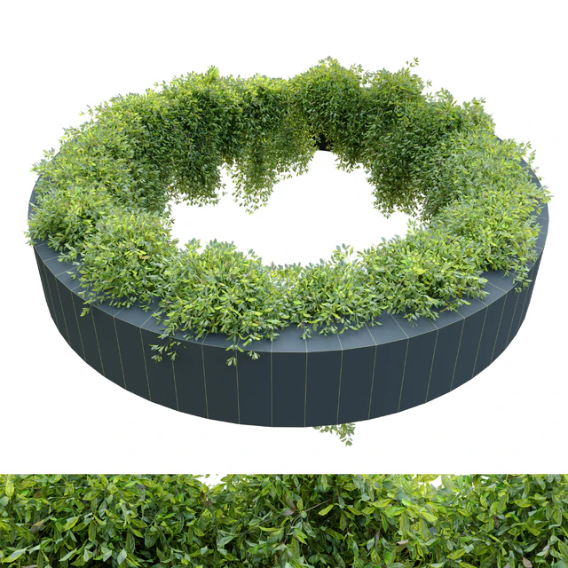 Circular shaped ivy — Descargar