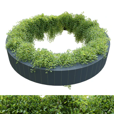 Circular shaped ivy — Ver 3