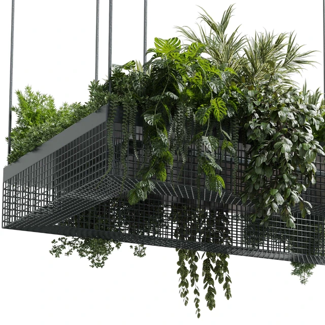 hanging plants - indoor plant set 447 Rectangle pendant pot vray — Скачать