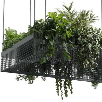hanging plants - indoor plant set 447 Rectangle pendant pot vray — Вид 4