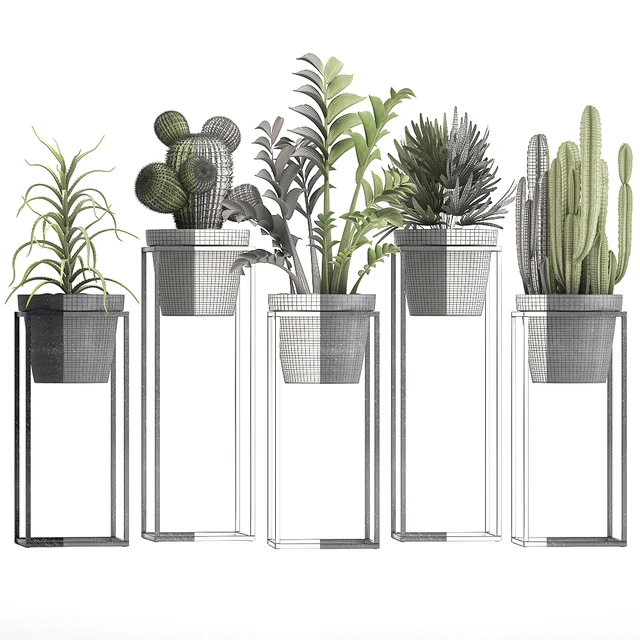Plant collection 314. Small plants, pot, cactus, rapis, aloe, cireus, indoor, stand, concrete, pot, loft, Zamioculcas, Raphis Palm — Descargar