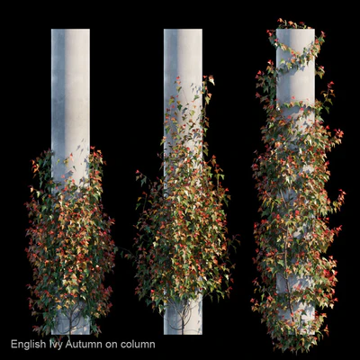 English Ivy Autumn on column — Ver 1