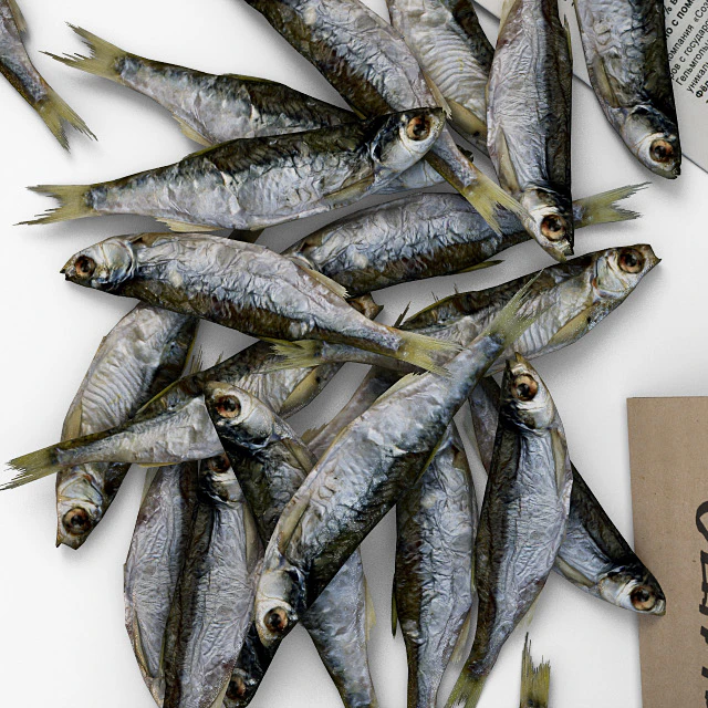 Beer, fish, friday — Descargar