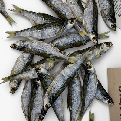 Beer, fish, friday — Ver 2