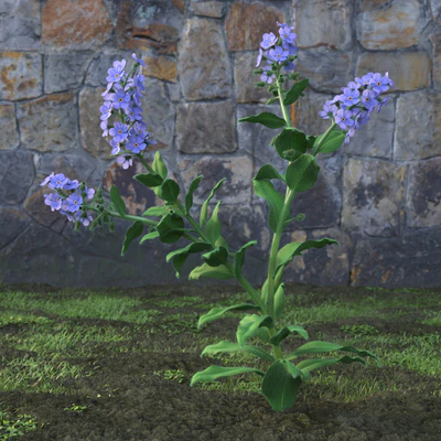 garden flowers 044 — Скачать