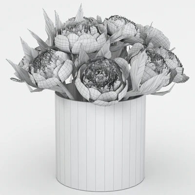 Bouquet of peonies — Ver 3