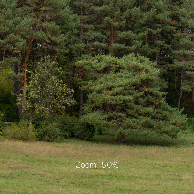 Осенняя панорама с деревьями. 30к — Скачать