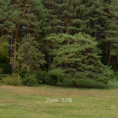 Осенняя панорама с деревьями. 30к — Вид 4