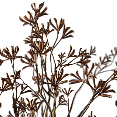 Decor with Kangaroo branches — Ver 4