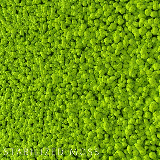 Stabilized Moss — Descargar