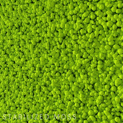 Stabilized Moss — Ver 2