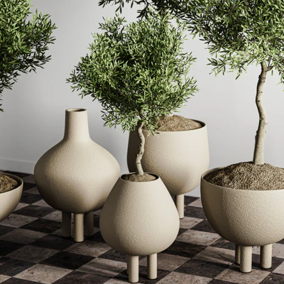 indoor plant stant 46 — Вид 3