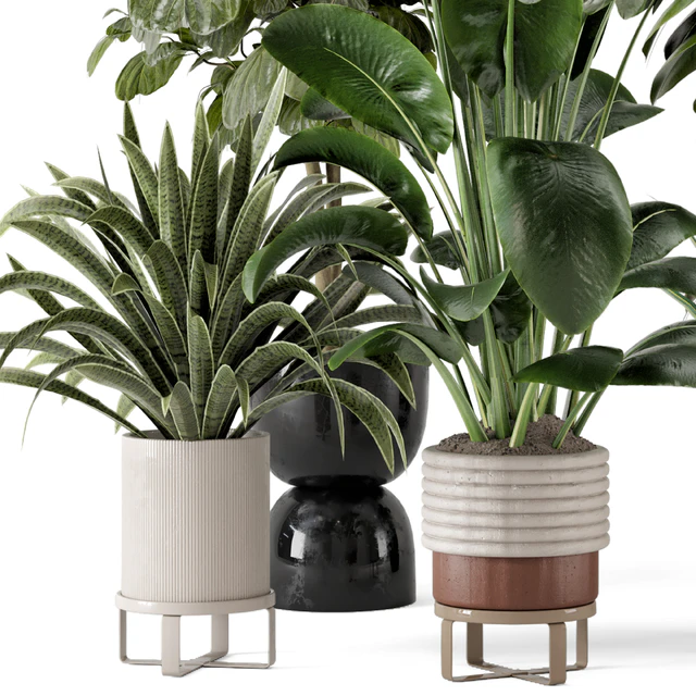 Indoor Plants in Ferm Living Bau Pot Large - Set 983 — Descargar