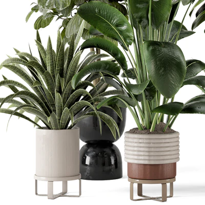 Indoor Plants in Ferm Living Bau Pot Large - Set 983 — Ver 2