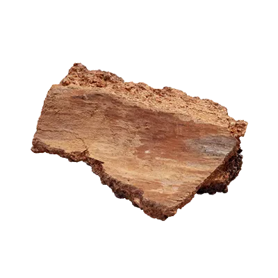 birch bark piece 002 — Скачать