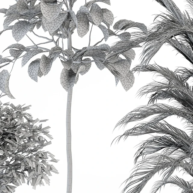 indoor Plant Set 257 - Plant Set in pot — Descargar