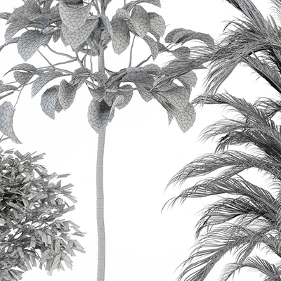 indoor Plant Set 257 - Plant Set in pot — Ver 4