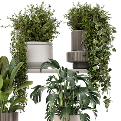 Indoor Hanging Plants in rusty Concrete Pot - Set 909 — Ver 5