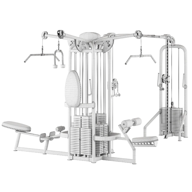 HOIST MULTI JUNGLE GYM SYSTEM CMJ-6600-S 6 STATION — Скачать