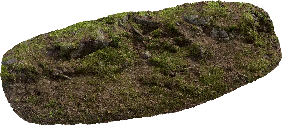 mossy embankment 004 — Скачать