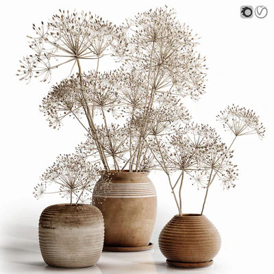 heracleum plant set — Ver 1