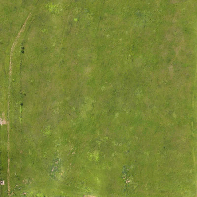field summer 007 — Скачать