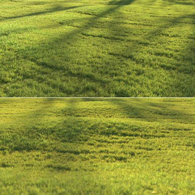Sunny lawn — Descargar
