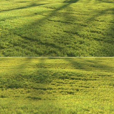 Sunny lawn — Ver 4