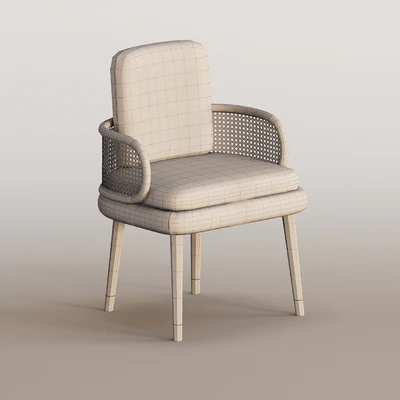 Dining Chair BLAKEY — View 3
