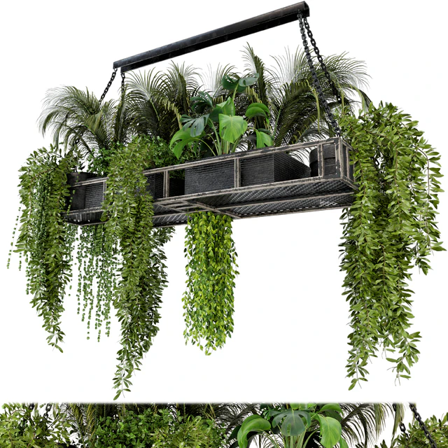 Indoor Hanging Plants in Metal Box - Set 71 — Скачать