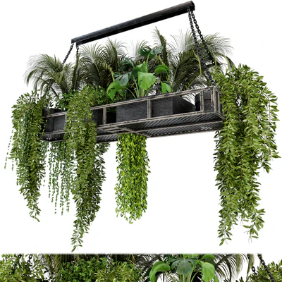 Indoor Hanging Plants in Metal Box - Set 71 — Вид 1
