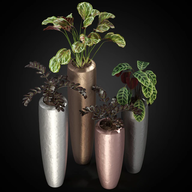 Plants collection 272 Fleur ami LOFT — Скачать