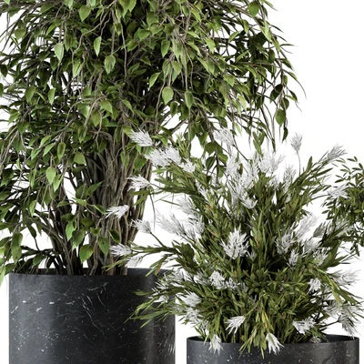 indoor Plant Set 308 - Tree and Plant Set in Black pot — Вид 4