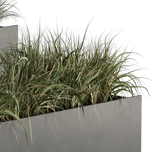 Outdoor Plant Set 288 - Grass in Plant Box — Descargar