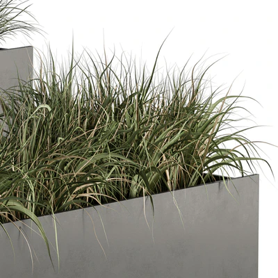 Outdoor Plant Set 288 - Grass in Plant Box — Ver 2