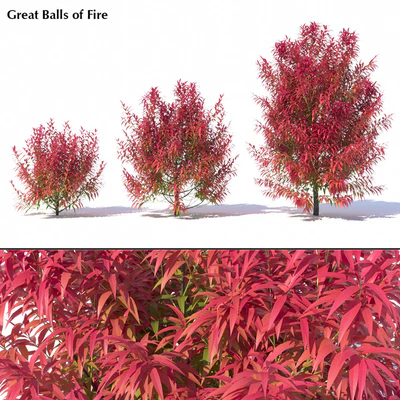 Great Balls of Fire — Ver 1
