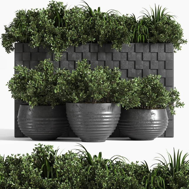 outdoor plant collection Box — Descargar