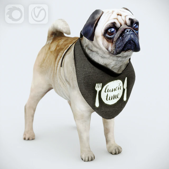 Cute Pug (vray + corona) — Descargar