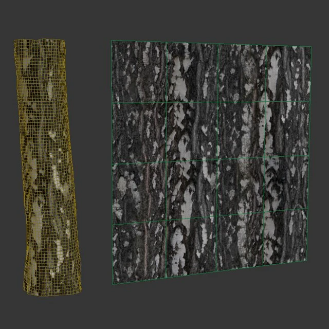 Birch bark — Descargar