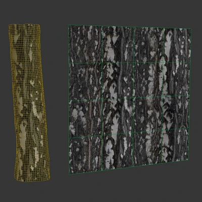 Birch bark — Ver 2