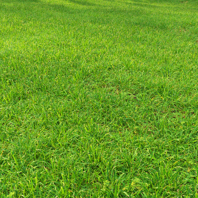 Grass lawn — Descargar