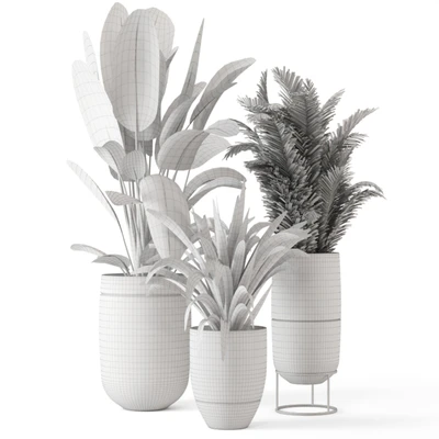 Indoor Plants  in rusty Concrete Pot - Set 628 — Вид 4