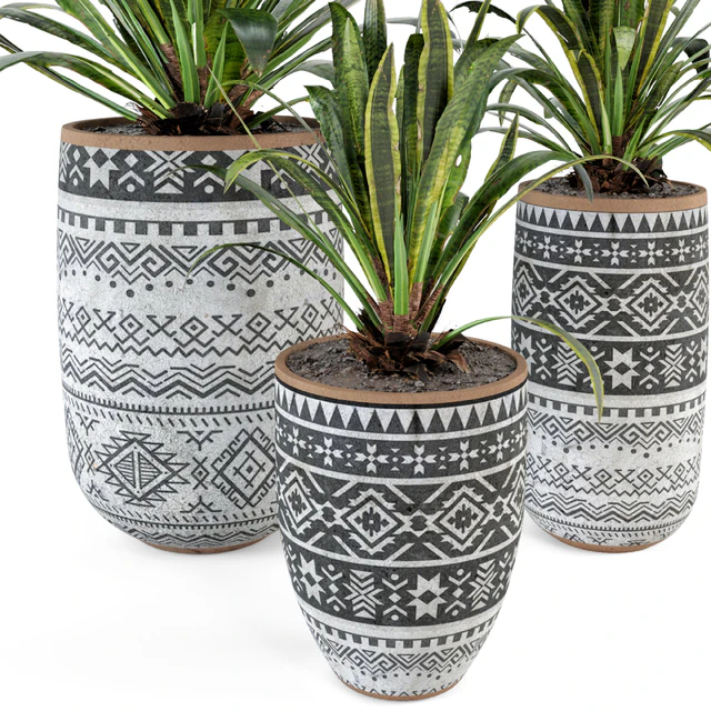 Indoor Plants  in Concrete Pots - Set 36 — Скачать