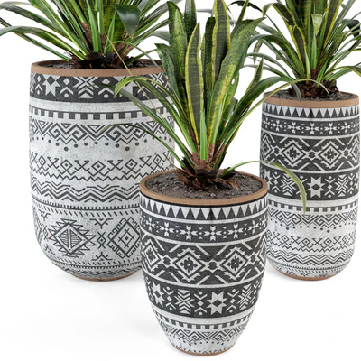 Indoor Plants  in Concrete Pots - Set 36 — Вид 2